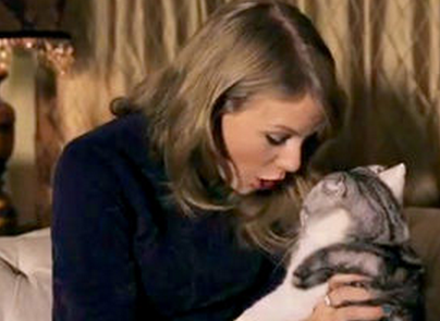 スクリーンショット 2014-11-08 10.09.43