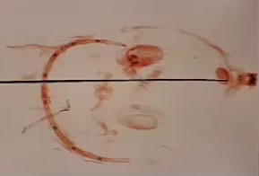 スクリーンショット 2015-01-28 21.22.45