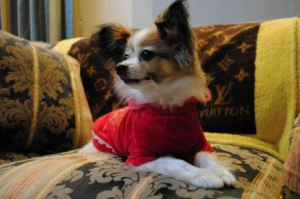 スクリーンショット 2015-03-21 21.44.31